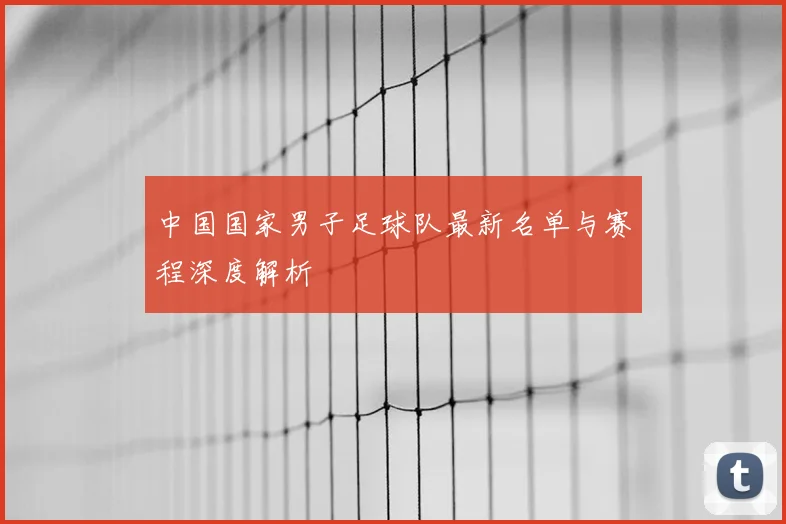中国国家男子足球队最新名单与赛程深度解析